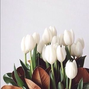 Meet your Posher, Lainee